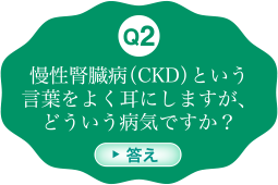 慢性腎臓病（CKD）という言葉をよく耳にしますが、どういう病気ですか？